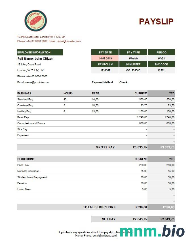 Oświadczenie o zarobkach firmy spożywczej w formatach Excel i PDF